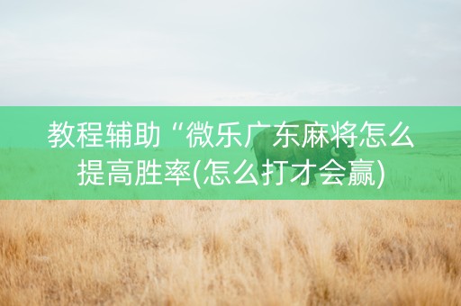 教程辅助“微乐广东麻将怎么提高胜率(怎么打才会赢)