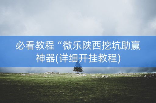 必看教程“微乐陕西挖坑助赢神器(详细开挂教程)