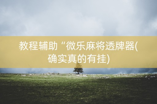 教程辅助“微乐麻将透牌器(确实真的有挂)