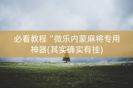 必看教程“微乐内蒙麻将专用神器(其实确实有挂)