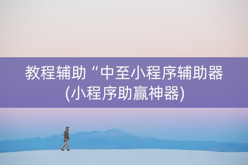 教程辅助“中至小程序辅助器(小程序助赢神器)