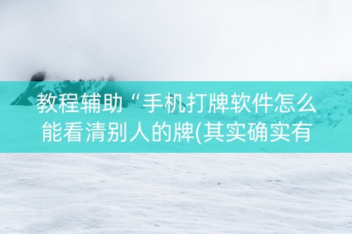 教程辅助“手机打牌软件怎么能看清别人的牌(其实确实有挂)