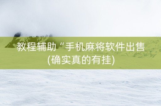 教程辅助“手机麻将软件出售(确实真的有挂)
