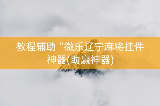 教程辅助“微乐辽宁麻将挂件神器(助赢神器)