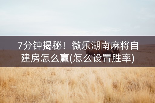 7分钟揭秘！微乐湖南麻将自建房怎么赢(怎么设置胜率)