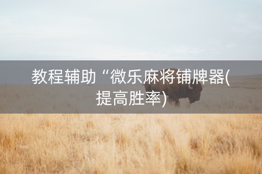教程辅助“微乐麻将铺牌器(提高胜率)