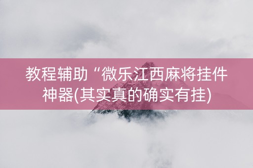 教程辅助“微乐江西麻将挂件神器(其实真的确实有挂)