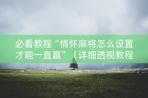 必看教程“情怀麻将怎么设置才能一直赢”（详细透视教程）-哔哩哔哩