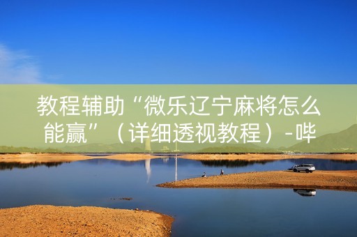教程辅助“微乐辽宁麻将怎么能赢”（详细透视教程）-哔哩哔哩