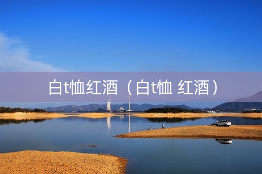 白t恤红酒（白t恤 红酒）