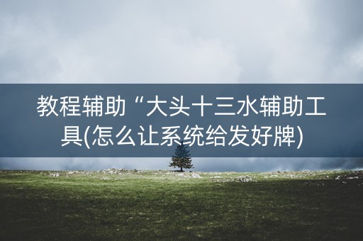教程辅助“大头十三水辅助工具(怎么让系统给发好牌)