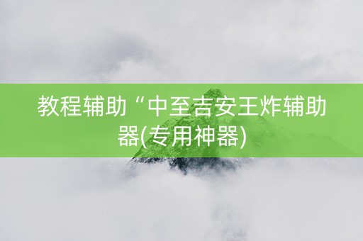 教程辅助“中至吉安王炸辅助器(专用神器)
