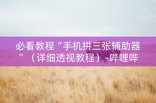 必看教程“手机拼三张辅助器”（详细透视教程）-哔哩哔哩
