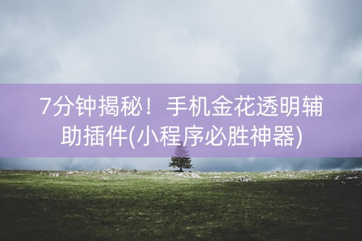 7分钟揭秘！手机金花透明辅助插件(小程序必胜神器)