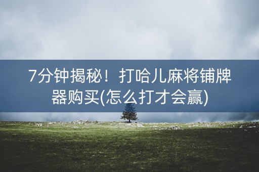 7分钟揭秘！打哈儿麻将铺牌器购买(怎么打才会赢)