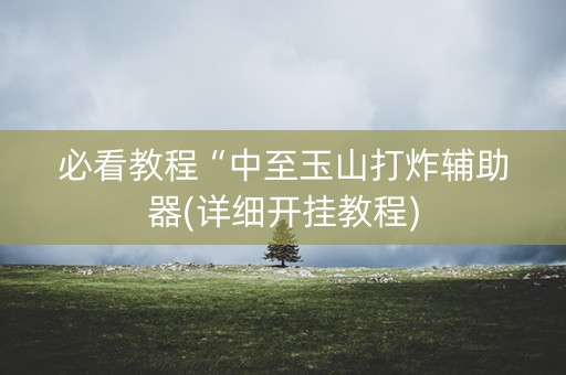 必看教程“中至玉山打炸辅助器(详细开挂教程)