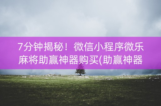 7分钟揭秘！微信小程序微乐麻将助赢神器购买(助赢神器)