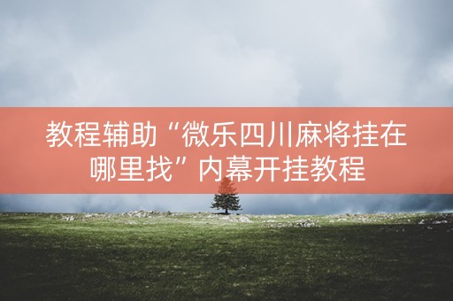教程辅助“微乐四川麻将挂在哪里找”内幕开挂教程