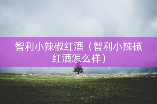 智利小辣椒红酒（智利小辣椒红酒怎么样）