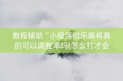 教程辅助“小程序微乐麻将真的可以调胜率吗(怎么打才会赢)