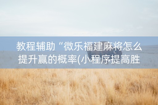 教程辅助“微乐福建麻将怎么提升赢的概率(小程序提高胜率)