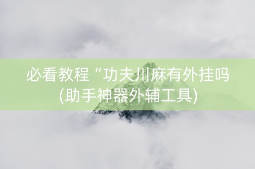必看教程“功夫川麻有外挂吗(助手神器外辅工具)