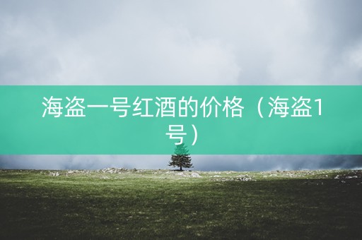 海盗一号红酒的价格（海盗1号）