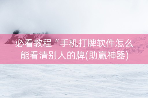 必看教程“手机打牌软件怎么能看清别人的牌(助赢神器)