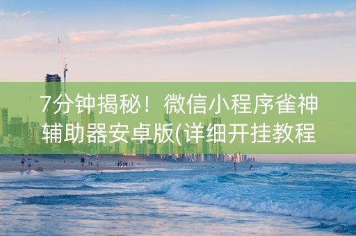 7分钟揭秘！微信小程序雀神辅助器安卓版(详细开挂教程)