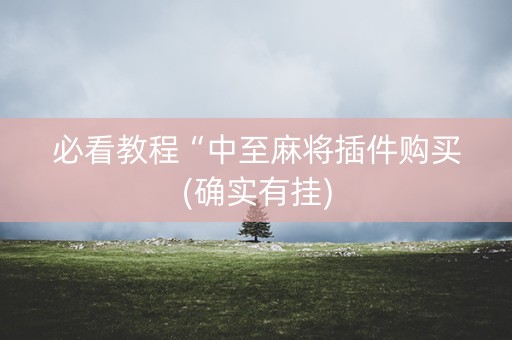 必看教程“中至麻将插件购买(确实有挂)