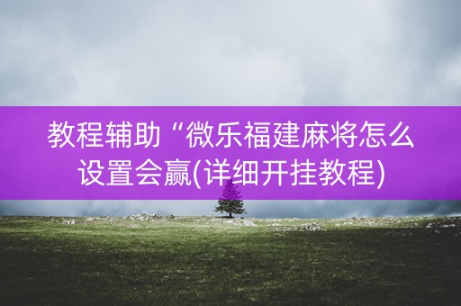 教程辅助“微乐福建麻将怎么设置会赢(详细开挂教程)