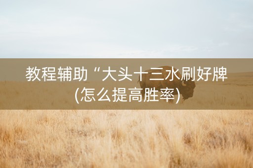 教程辅助“大头十三水刷好牌(怎么提高胜率)