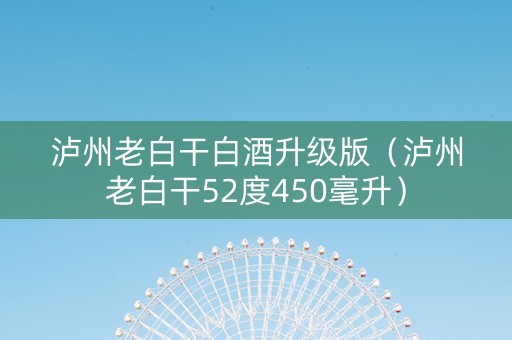 泸州老白干白酒升级版（泸州老白干52度450毫升）