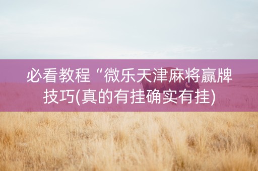 必看教程“微乐天津麻将赢牌技巧(真的有挂确实有挂)