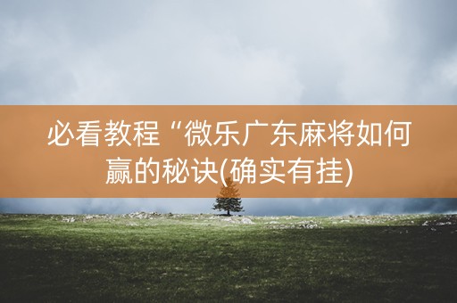 必看教程“微乐广东麻将如何赢的秘诀(确实有挂)