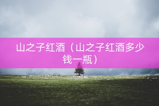 山之子红酒（山之子红酒多少钱一瓶）