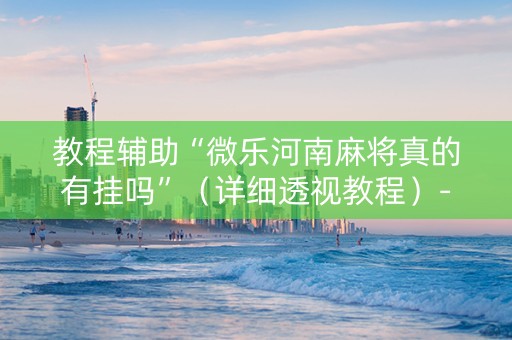 教程辅助“微乐河南麻将真的有挂吗”（详细透视教程）-哔哩哔哩