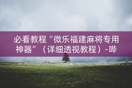 必看教程“微乐福建麻将专用神器”（详细透视教程）-哔哩哔哩