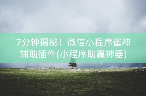 7分钟揭秘！微信小程序雀神辅助插件(小程序助赢神器)