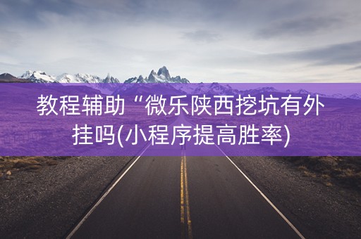 教程辅助“微乐陕西挖坑有外挂吗(小程序提高胜率)