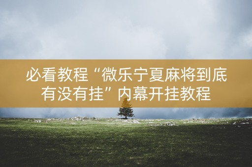 必看教程“微乐宁夏麻将到底有没有挂”内幕开挂教程