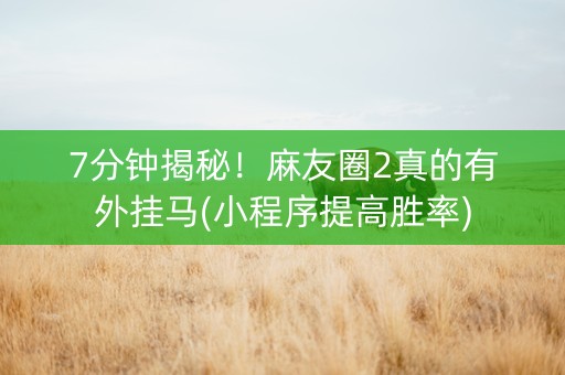 7分钟揭秘！麻友圈2真的有外挂马(小程序提高胜率)