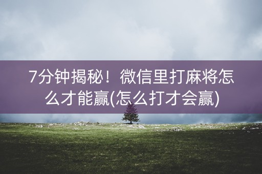 7分钟揭秘！微信里打麻将怎么才能赢(怎么打才会赢)
