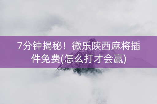 7分钟揭秘！微乐陕西麻将插件免费(怎么打才会赢)