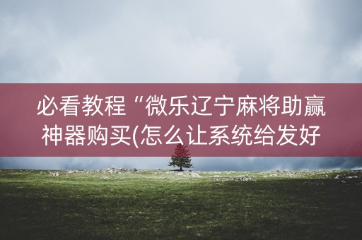 必看教程“微乐辽宁麻将助赢神器购买(怎么让系统给发好牌)