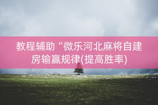 教程辅助“微乐河北麻将自建房输赢规律(提高胜率)