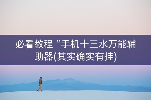 必看教程“手机十三水万能辅助器(其实确实有挂)