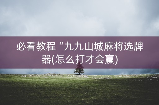 必看教程“九九山城麻将选牌器(怎么打才会赢)
