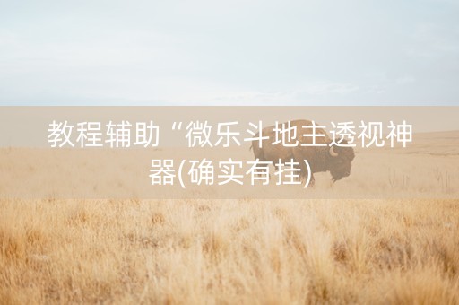 教程辅助“微乐斗地主透视神器(确实有挂)