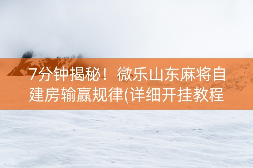7分钟揭秘！微乐山东麻将自建房输赢规律(详细开挂教程)